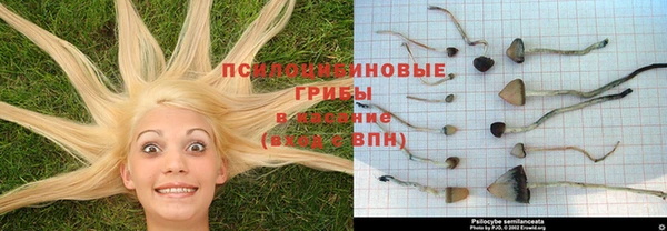 МДМА Алзамай