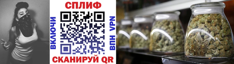 где продают наркотики  Апрелевка  МАРИХУАНА Amnesia 